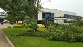 Before a completed landscaper project in the area