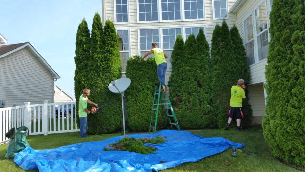 A recent landscaper job in the area