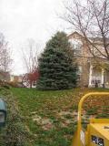 A recent landscaper job in the area