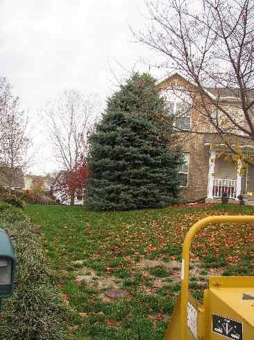 A recent landscaper job in the area