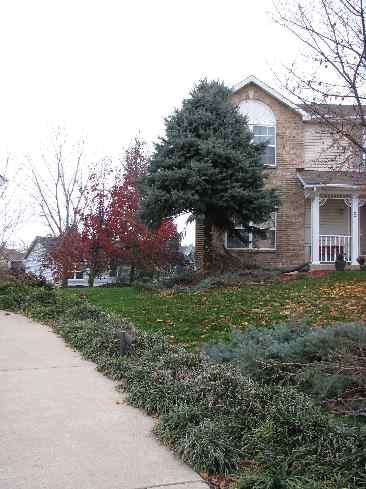 A recent landscaper job in the area