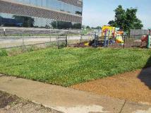 A recent landscaper job in the area