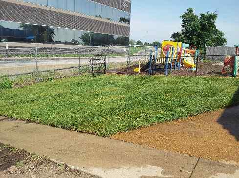A recent landscaper job in the area
