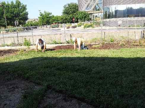 A recent landscaper job in the area