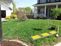A recent landscaper job in the area