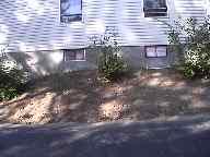 A recent landscaper job in the area