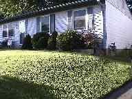 A recent landscaper job in the area