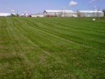 A recent landscaper job in the area