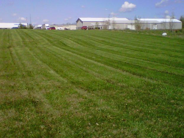 A recent landscaper job in the area