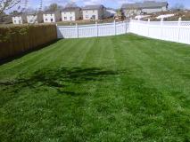A recent landscaper job in the area