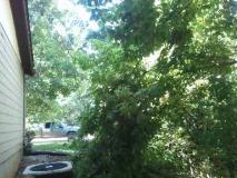 A recent landscaper job in the area