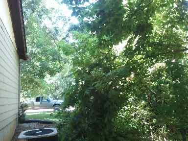 A recent landscaper job in the area