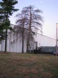 A recent landscaper job in the area