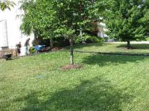 A recent landscaper job in the area