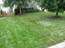A recent landscaper job in the area