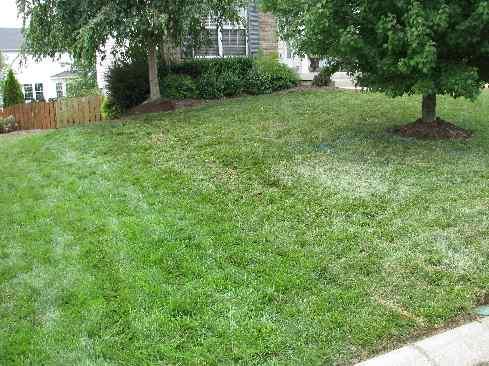 A recent landscaper job in the area