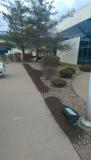 A recent landscaper job in the area