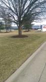 A recent landscaper job in the area
