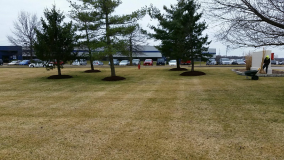 A recent landscaper job in the area
