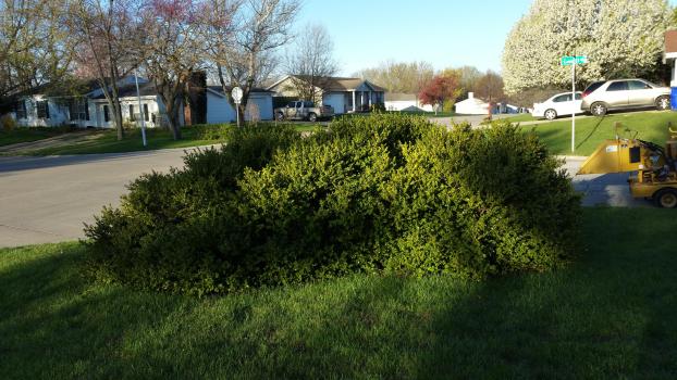 A recent landscaper job in the area