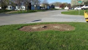 A recent landscaper job in the area