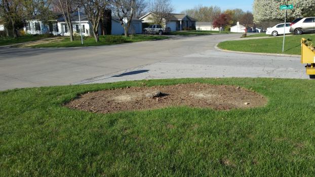 A recent landscaper job in the area